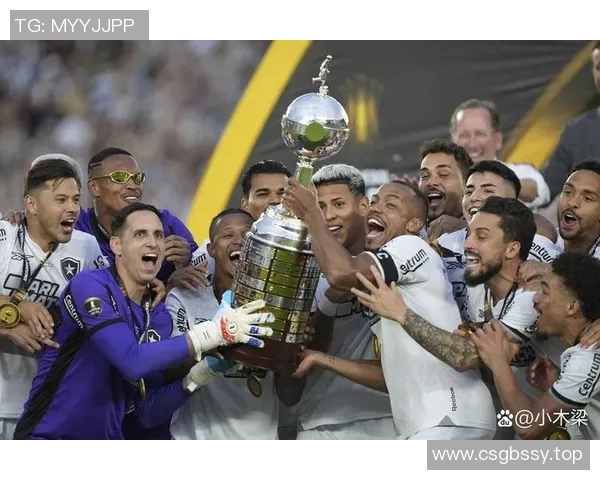 南美解放者杯智利大学客场小胜