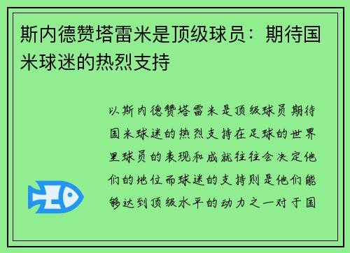 斯内德赞塔雷米是顶级球员：期待国米球迷的热烈支持