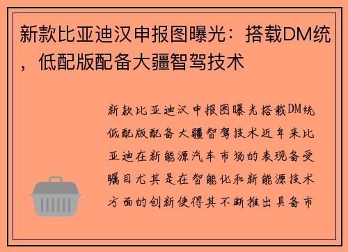 新款比亚迪汉申报图曝光：搭载DM统，低配版配备大疆智驾技术