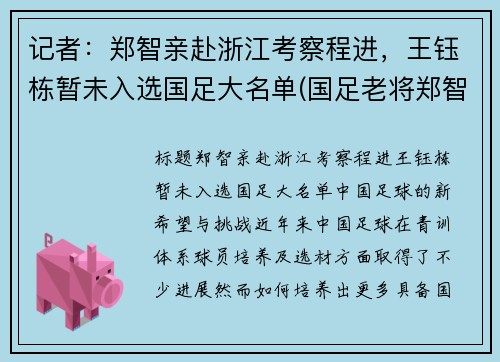 记者：郑智亲赴浙江考察程进，王钰栋暂未入选国足大名单(国足老将郑智)